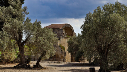 Roman ruins and Olive Trees at Gortyn, Crete, Greece