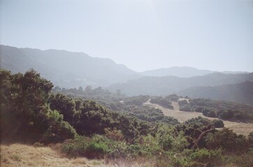Topanga Hike Eagle Rock in the summer, shot on film.