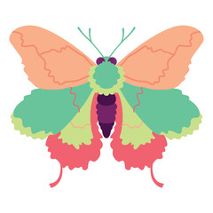 Vector Moth Night Butterfly Cartoon Illustration Isolated