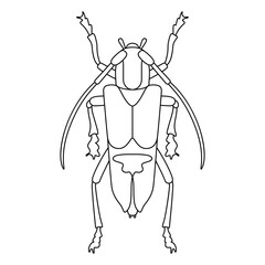 Vector Grasshopper Bug Insect Cartoon Illustration Isolated