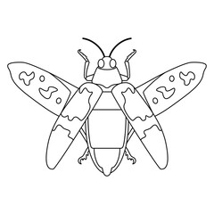 Vector Scarab Beetle Bug Insect Cartoon Illustration Isolated