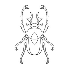 Vector Scarab Beetle Bug Insect Cartoon Illustration Isolated