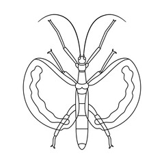 Vector Stick Bug Insect Cartoon Illustration Isolated