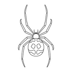 Vector Spider Insect Cartoon Illustration Isolated