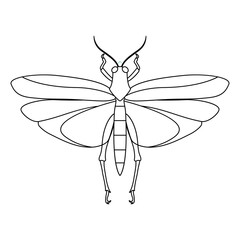 Vector Grasshopper Bug Insect Cartoon Illustration Isolated