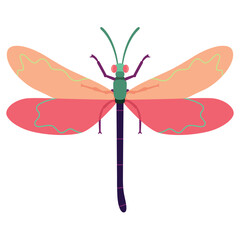 Vector Dragonfly Insect Cartoon Illustration Isolated