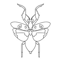 Vector Praying Mantis Bug Insect Cartoon Illustration Isolated