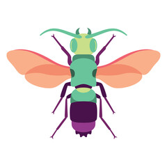 Vector Honey Bee Insect Cartoon Illustration Isolated