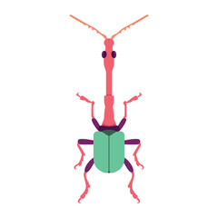 Vector Beetle Bug Insect Cartoon Illustration Isolated
