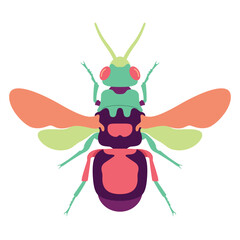 Vector Honey Bee Insect Cartoon Illustration Isolated
