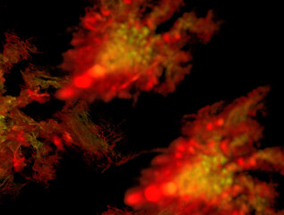 Imaginatory fractal abstract background Image