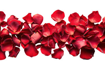 Fototapeta premium PNG Vibrant red rose petals scattered
