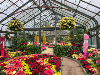 December 9th, 2024 - Niagara Falls, Ontario, Canada: The Niagara Parks floral showhouse features...