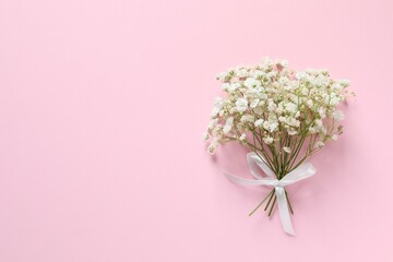 Top view photo with gypsophila flowers on color background 