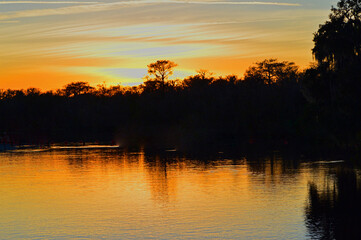 Sunset ovet the trees and waters at Blue Springs State Park in Florida 