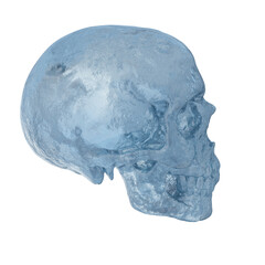 3D rendered fantasy ice skull isolated on transparent background