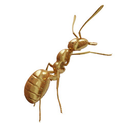 3D rendered golden ant isolated on transparent background