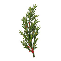 Fototapeta premium Festive evergreen sprig with red string on beige