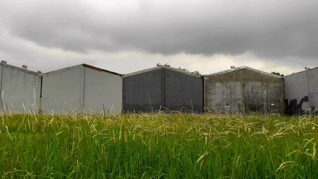 A field of swaying cogon grass grows wild behind a row of aging warehouses. The sky is overcast, and a gentle breeze rustles through the tall grass.