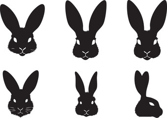 Pet Bunny Vector Art for Prints
