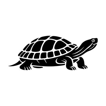 black turtle walking on white background clip art preview
