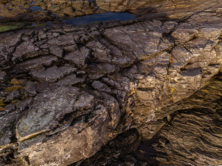 Rocky Coastline Landscape on Vancouver Island During Golden Hour