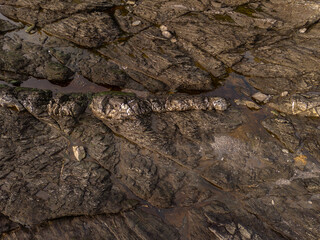 Rugged Coastal Rock Formation on Vancouver Island, British Columbia