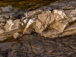 Close-Up of Coastal Rocks Displaying Natural Patterns and Textures