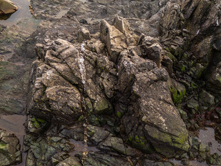 Rocky Coastal Landscape with Green Moss and Tide Pools