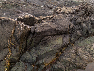 Rocky Shoreline on Vancouver Island with Texture Details