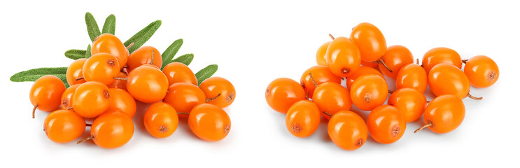 Sea buckthorn. Fresh ripe berry isolated on white background macro