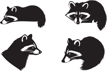 Minimalist Raccoon Vector Silhouette  © MehmetKemal