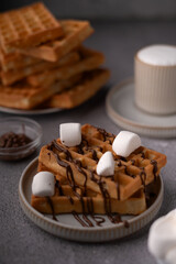 photo Indulgent Dessert Experience with Chocolate-Drizzled Waffles and Toasted Marshmallows Offering a Delightful Balance of Sweetness and Crunchiness for Breakfast or Snack Lovers