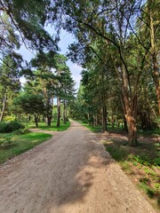 walk in the park