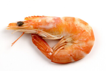 crevette rose, en gros plan, isolées sur un fond blanc