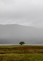 misty morning on the river