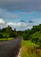 road in the countryside