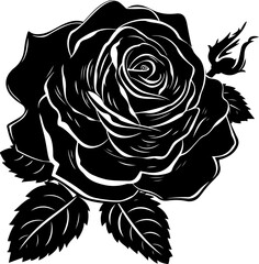 Black and White Rose Illustration