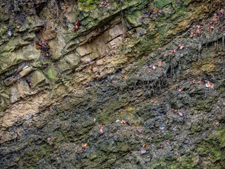Gesteinsschichten im Muschelkalk