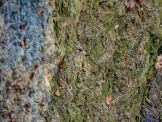 Gesteinsschichten im Muschelkalk