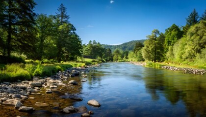 Majestic river water flows through a vibrant green forest on a sunny summer day