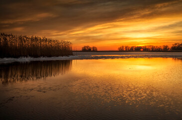 Obraz premium Winter landscape with sunset sky, reeds and river. Daybreak