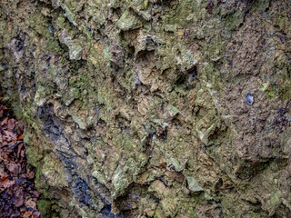 Gesteinsschichten im Muschelkalk