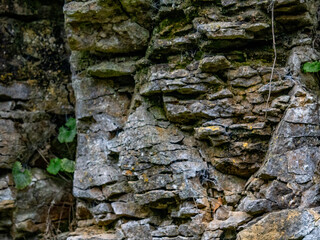 Gesteinsschichten im Muschelkalk