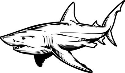 Fototapeta premium Illustration of a Shark