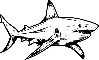 Obraz premium Illustration of a Shark