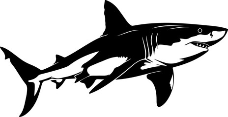 Fototapeta premium Stylized Black and White Shark Illustration