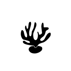 black coral icon