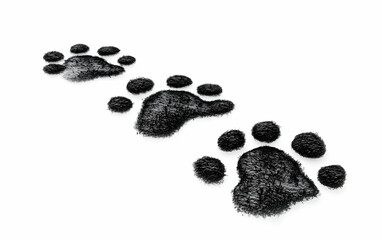 Footprint trail of a dog, black paw prints, isolated on white background, clipping path,, AI Generated