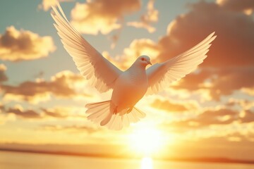 Obraz premium Dove soaring with wings open in front of sun